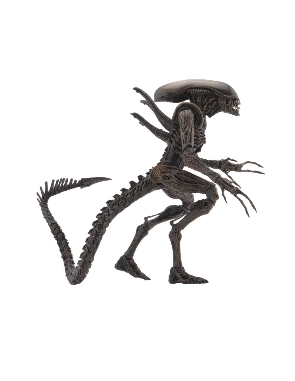 Figura de Xenomorph Warrior Alien Figura de Xenomorph Warrior Alien