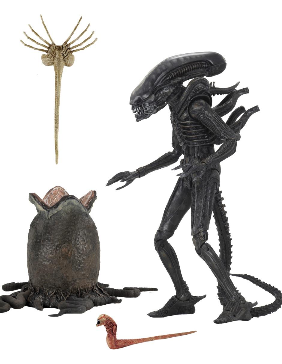 Figura Collectors 1