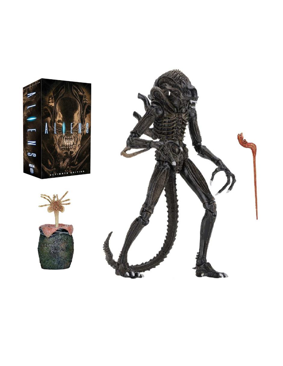 Figura Collectors 1