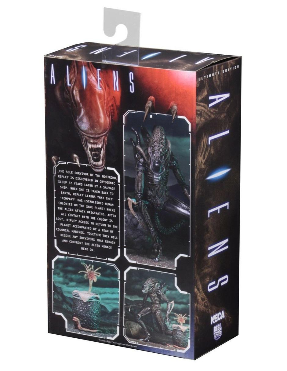 Figura Collectors 2