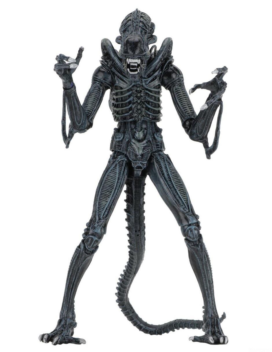 Figura Collectors 2
