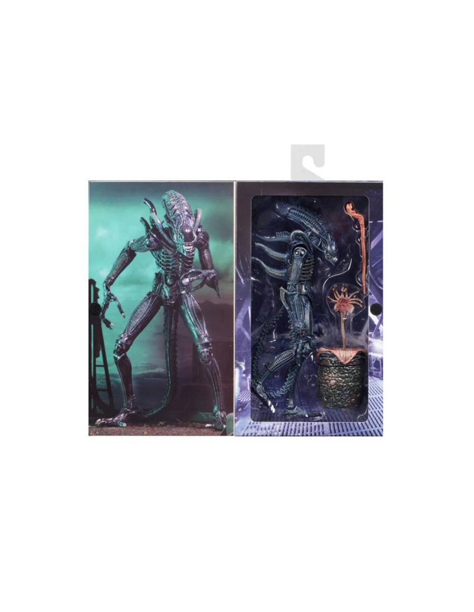 Figura Collectors 3
