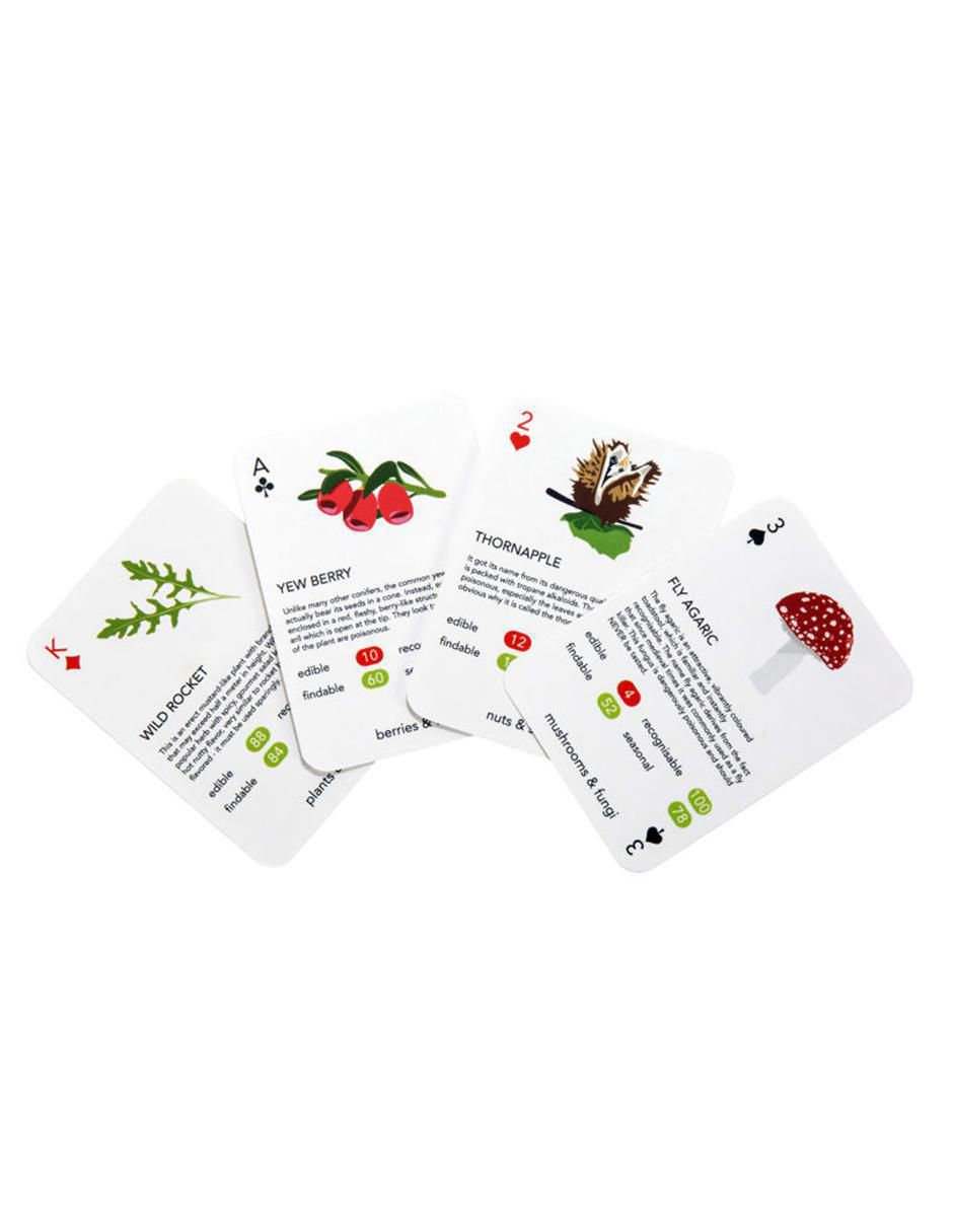 Cartas Kikkerland 1