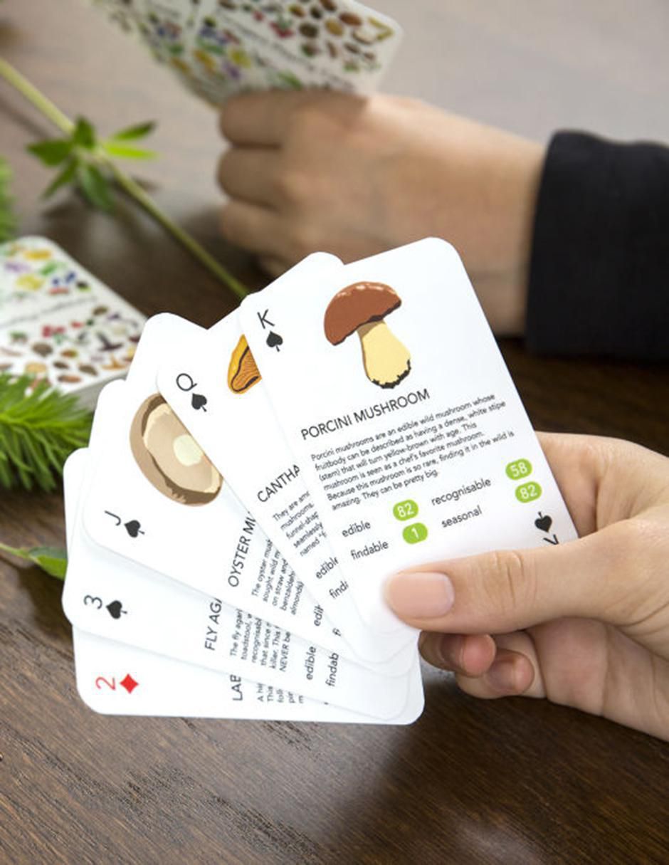 Cartas Kikkerland 2