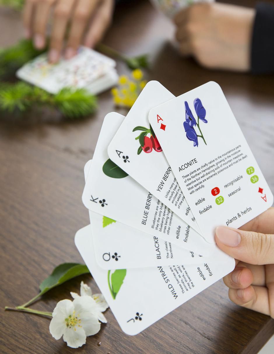 Cartas Kikkerland 3