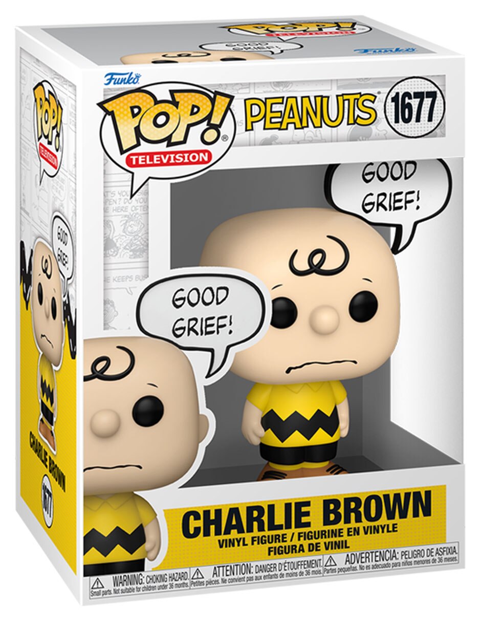 POP! Peanuts Charlie Brown 2