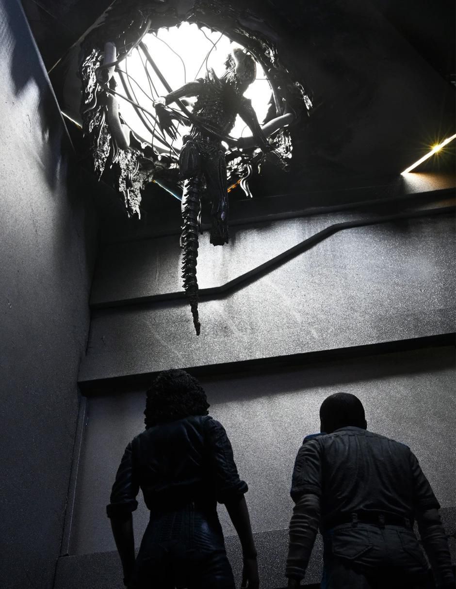 Figura de colección articulada Alien Romulus Xenomorph Deluxe