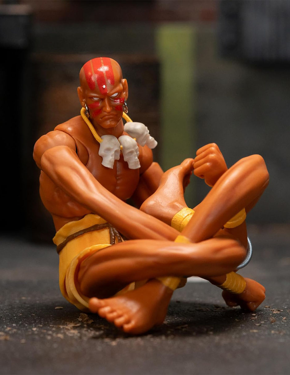 Figura articulada Street Fighter Capcom 5